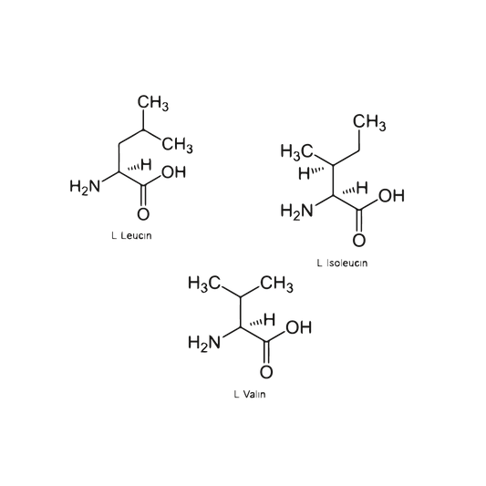 L-Leucin und L-Valin in VivaDrate